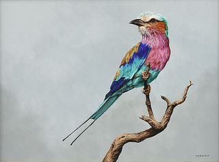 INGRID FOUCHÉ (South African 20th/21st Century) A PAINTING, "African Lilac Breasted Roller,"