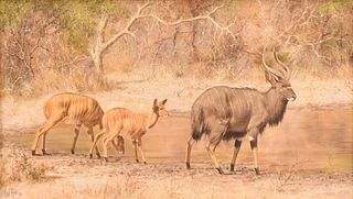PAUL ROSE (South African 1931-2018) A PAINTING, "Nyalas Watering,"