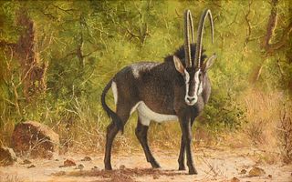 PAUL ROSE (South African 1931-2018) A PAINTING, "Sable Antelope,"