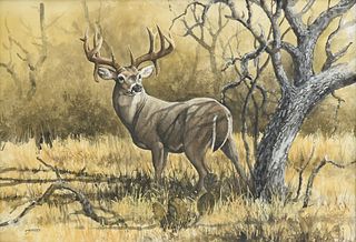 DAVID DRINKARD (American/Texas 1948-2016) A PAINTING, "Mule Deer Buck ,"