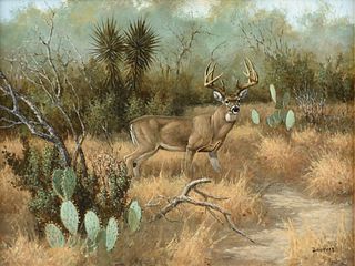 DAVID DRINKARD (American/Texas 1948-2016) A PAINTING, "10 Point Whitetail Buck,"