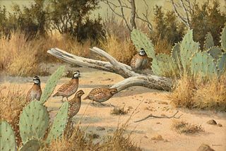 DAVID DRINKARD (American/Texas 1948-2016) A PAINTING, "Five Bobwhite Quail with Cactus,"