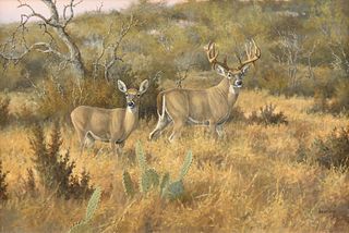 DAVID DRINKARD (American/Texas 1948-2016) A PAINTING, "White Tail Buck and Doe,"