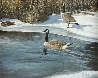 JOHN BANOVICH (American b. 1964) A PAINTING, "Canada Geese on a Snowy Bank with Grasses," 1987,