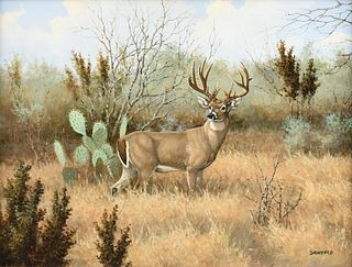 DAVID DRINKARD (American/Texas 1948-2016) A PAINTING, "White Tail Buck with Cactus,"