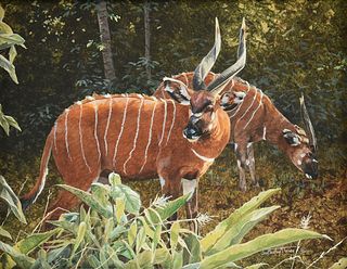 JAN MARTIN MCGUIRE (American b. 1955) A PAINTING, "Into the Glade: Pair of Bongos in Jungle Scene," 