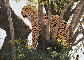 KIM DONALDSON (Zimbabwean b. 1952) A DRAWING, "Leopard at Noon,"