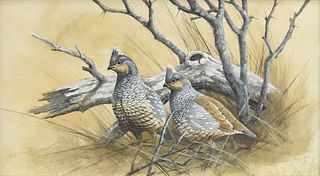 DAVID DRINKARD (American/Texas 1948-2016) A PAINTING, " Scaled Quail, Male and Female,"