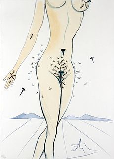 Salvador Dali - Ants Nails & Flies on Nude