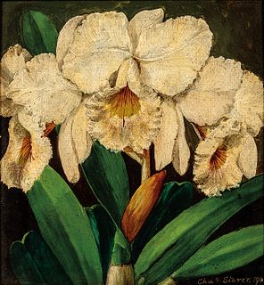 Charles Storer (American, 1817-1907) Orchids