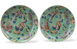 Pair of Chinese "Butterfly"Plate,Jiaqing Period