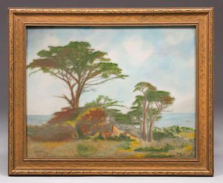 California Monterey Cypress Pastel 1921