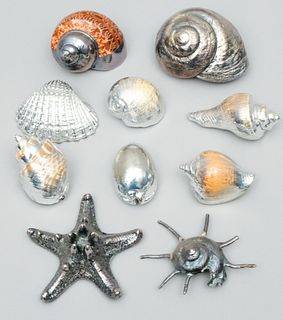 Group of 10 Silver Clad Seashells
