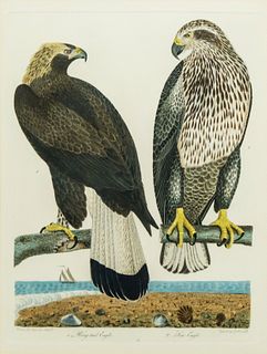 Alexander Wilson, Two Eagles
