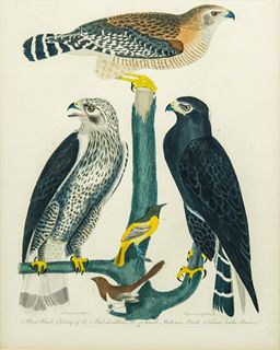Alexander Wilson, A Variety of Birds