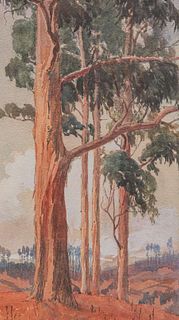 William S. Rice California Eucalyptus Watercolor c1910s