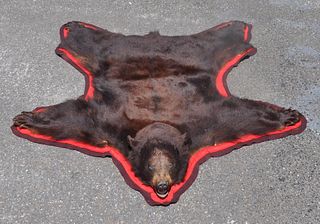 Black Bear Taxidermy Full Skin Rug