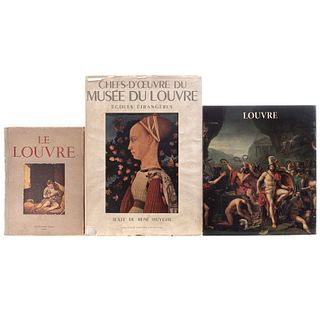 Libros sobre el Museo Louvre. The Louvre / Cent Chef´s D´Oeuvre du Musée du Louvre. La Peinture d´Occident. Piezas: 3.