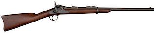 Model 1873 Springfield Trapdoor Carbine 