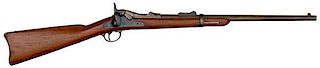 Model 1877 Springfield Trapdoor Carbine 
