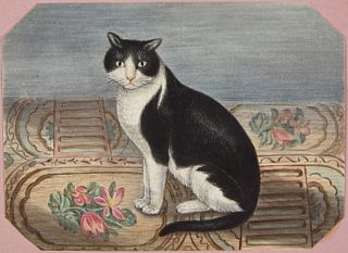 Fine Watercolor Painting Album 1833