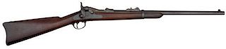 Model 1879 Springfield Trapdoor Carbine 