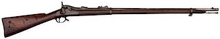 Model 1881 Springfield Long-Range Rifle 
