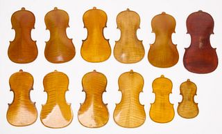 One Dozen Sample Violin Backs