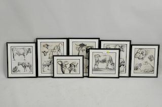 Group Seven Framed Prints Various Farm Animals