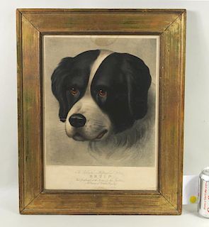 Hand Colored Lithograph "Bruin" Dated 1936