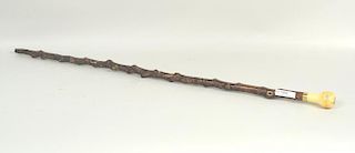 Antique Burlwood Bone Handled Dagger Cane