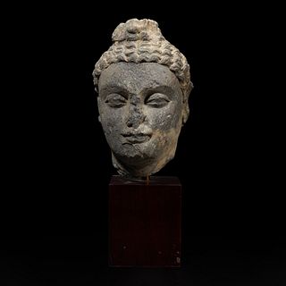 A carved schist head of a Buddha, Gandhara 健陀罗片岩佛首 3rd - 5th Century or earlier 三至五世纪或更早