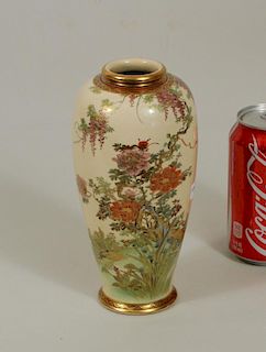 Chinese Porcelain Hand Painted Vase
