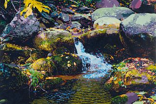 Frederick Nichols  Autumn Waterfall