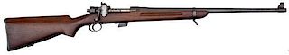 **Model 1922 Springfield Rifle 