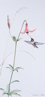 Ruth Ray "Ruby-Throated Hummingbird/Canada Lily"