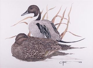 Gilbert Watercolor of Ducks