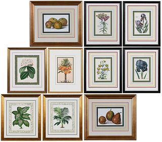 Ten Assorted Framed Botanical Prints