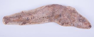 Aspidortincus Cretaceous (Lungfish) Fossil