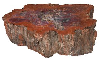 111 Pound Petrified Wood Specimen