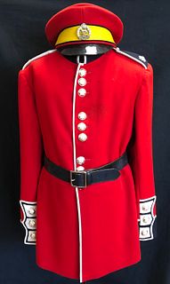 British ROYAL HAMPSHIRE Regiment uniform, cap  coat