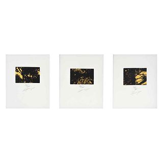 JAN HENDRIX, Sin título, Firmados Grabados 39 / 40, 6.5 x 9 cm c/u, piezas: 3 enmarcados juntos | JAN HENDRIX, Untitled, Signed, Engravings 39 / 40, 2