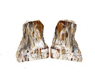PAIR OF PETRIFIED WOOD PIECES