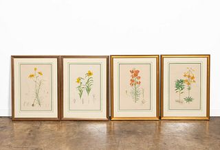 4 PIECES, ELWES LILY ENGRAVINGS, FRAMED, 1880