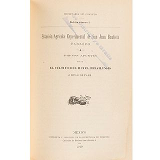Lote de Ocho Obras sobre Botánica y Agricultura de Finales del Siglo XIX y Principios del Siglo XX.  Piezas: 7.