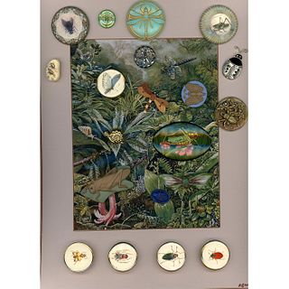 A CARD OF DIV 1 & 3 ASSORTED MATERIAL INSECT BUTTONS