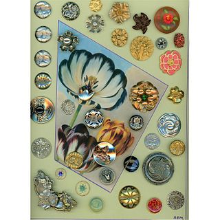 CARD OF ASSORTED DIV 1 & 3 ASSORTED PLANT LIFE BUTTONS