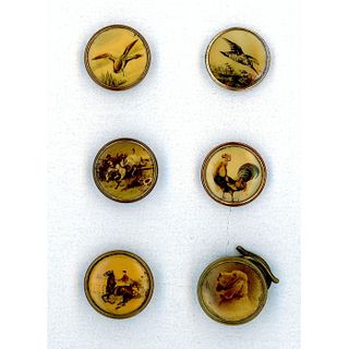 A SMALL CARD OF DIVISION ONE WAISTCOAT LITHO BUTTONS