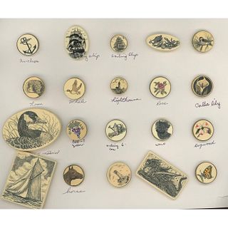 A CARD OF DIVISION 3 PLASTIC SCRIMSHAW BUTTONS