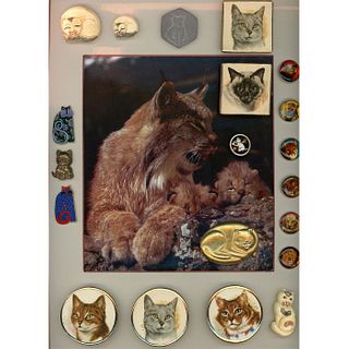 A CARD OF DIVISION 3 ASSORTED MATERIAL CAT BUTTONS